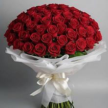 Букет 101 Красная роза Блэк Мэджик в Новошахтинском