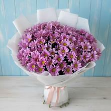 Букет цветов из:  Хризантемы в Новошахтинском
