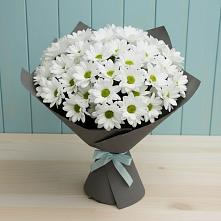 Букет цветов из:  Хризантемы #REPLACE_PRED# Новошахтинском