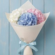 Букет цветов из:  Гортензия в Новошахтинском
