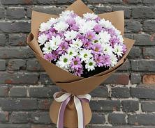 Букет цветов из:  Хризантемы в Новошахтинском