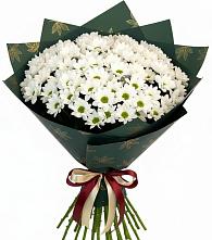 Букет цветов из:  Хризантемы в Новошахтинском