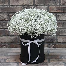 Цветочная композиция из Гипсофила в шляпной коробке #REPLACE_PRED# Новошахтинском