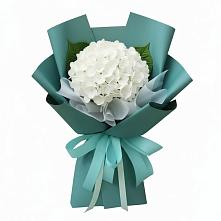 Букет цветов из:  Гортензия в Новошахтинском